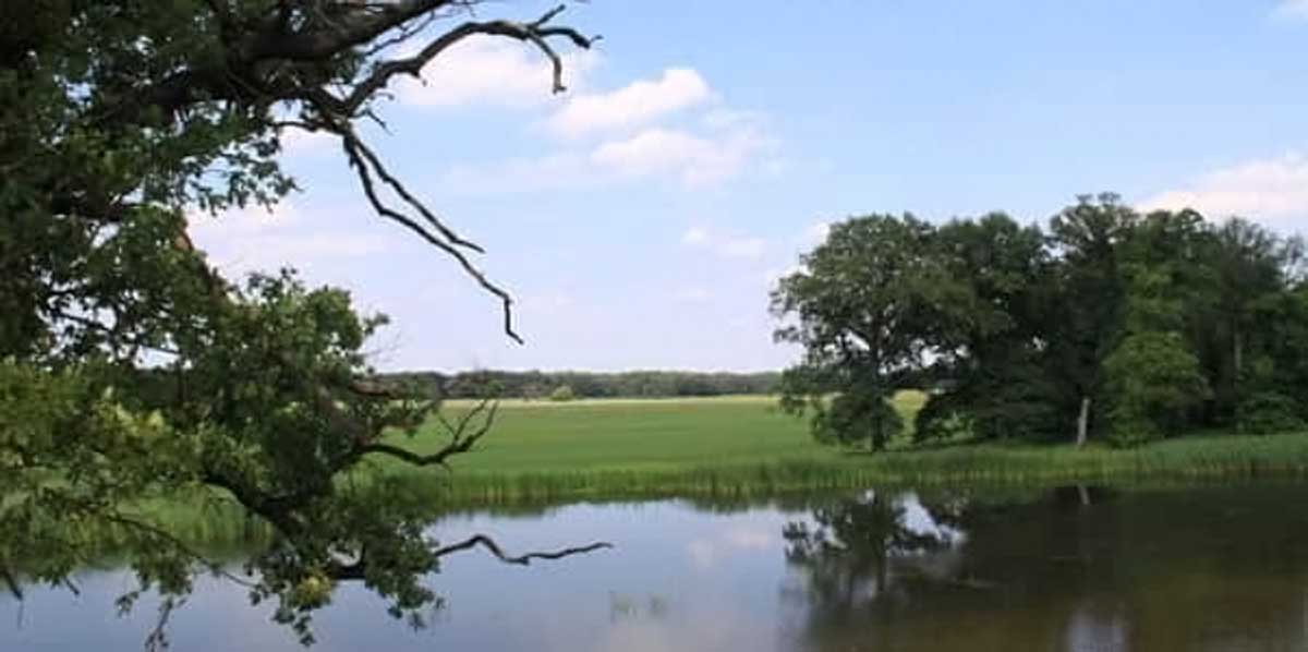 Berichte der ReinholdTüxenGesellschaft e. V.